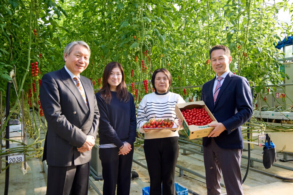 収穫したトマトとスタッフ