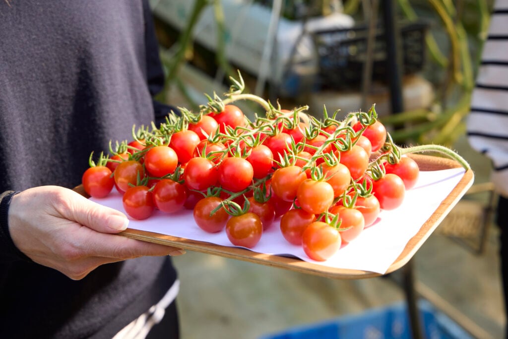 房付きのSweetbell