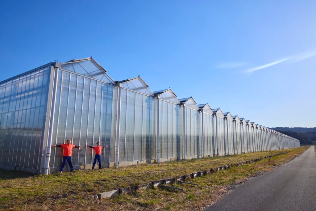 君津とまとガーデン 広大な温室施設