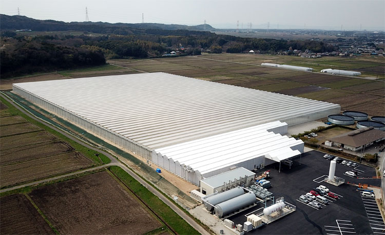 君津とまとガーデン 外観